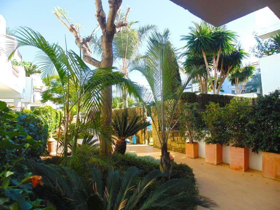 Beautiful Penthouse In A Perfect Location Apartamento Estepona Exterior foto